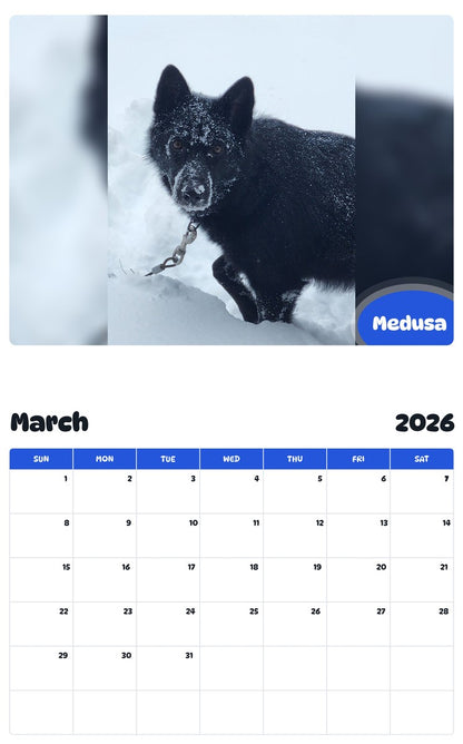 November 2025 - October 2026 Medusa - Pawidols Pet Calendar