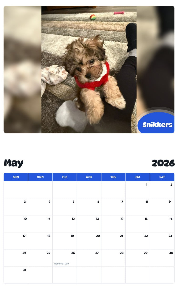 2026 - 2027 Snikkers - Pawidols Pet Calendar