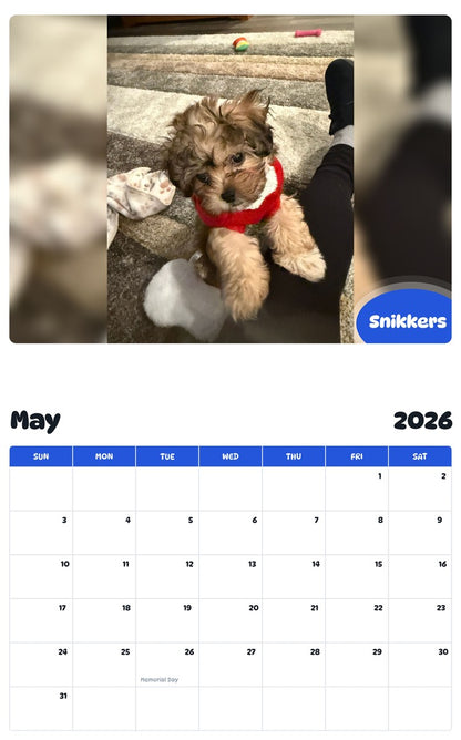 2026 - 2027 Snikkers - Pawidols Pet Calendar