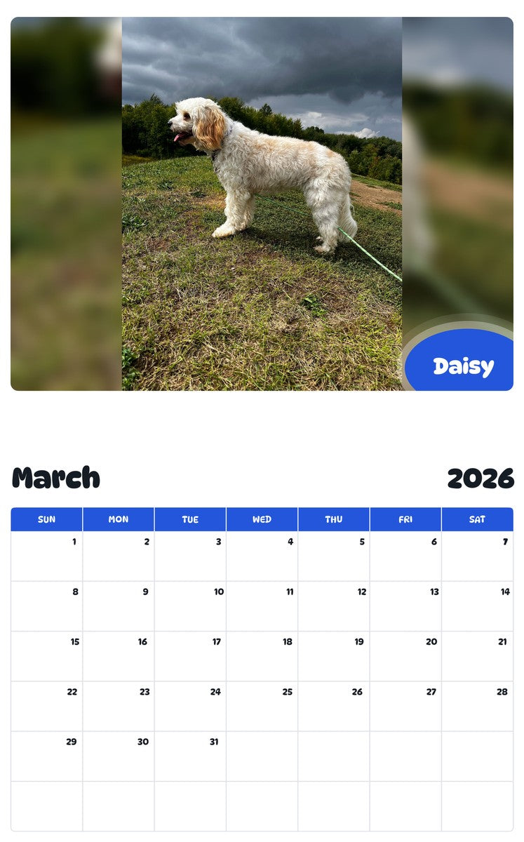 November 2025 - October 2026 Daisy - Pawidols Pet Calendar