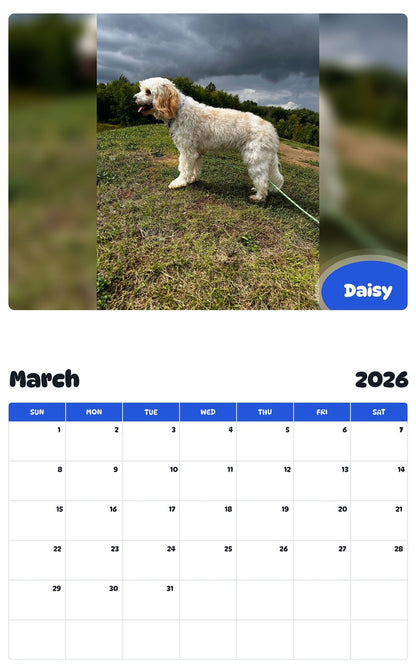 November 2025 - October 2026 Daisy - Pawidols Pet Calendar