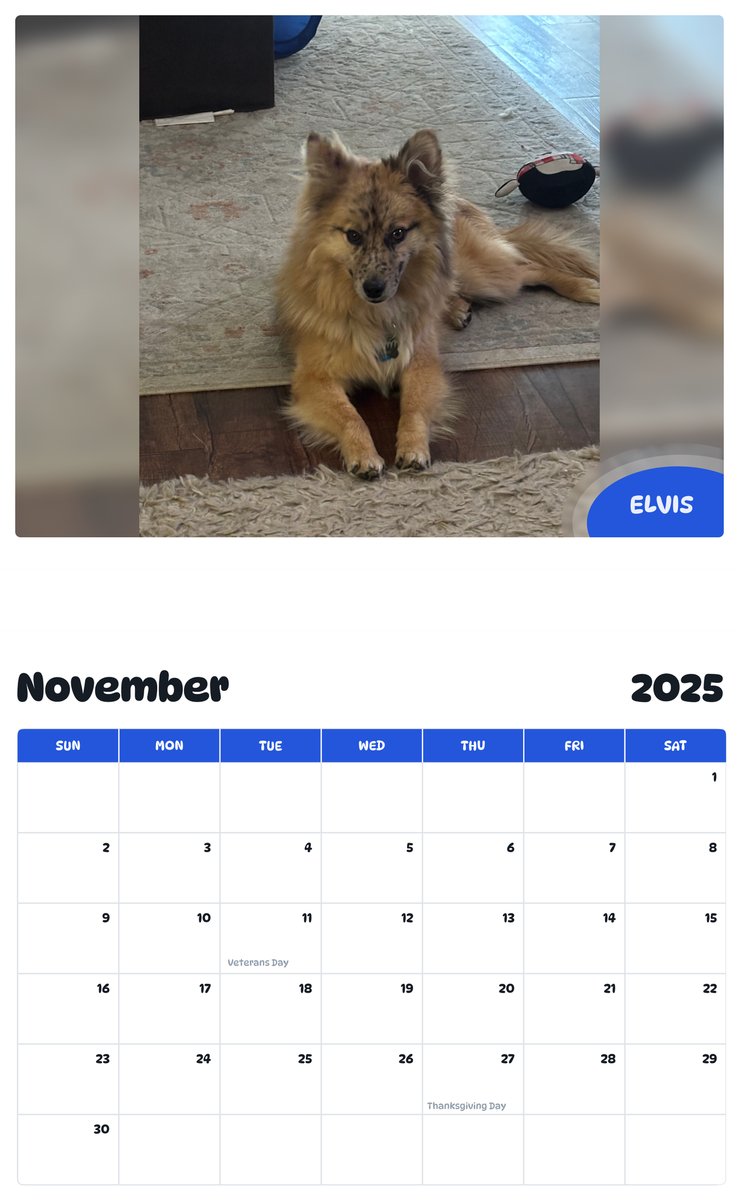 July 2025 - June 2026 Elvis - Pawidols Pet Calendar