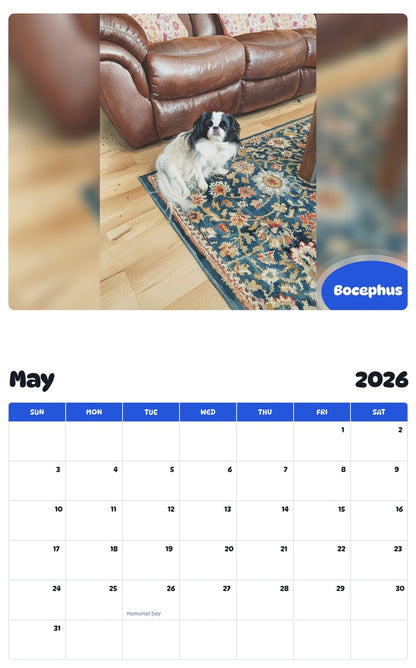 2026 - 2027 Bocephus - Pawidols Pet Calendar