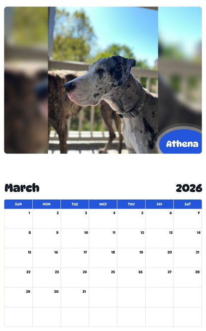 November 2025 - October 2026 Athena - Pawidols Pet Calendar