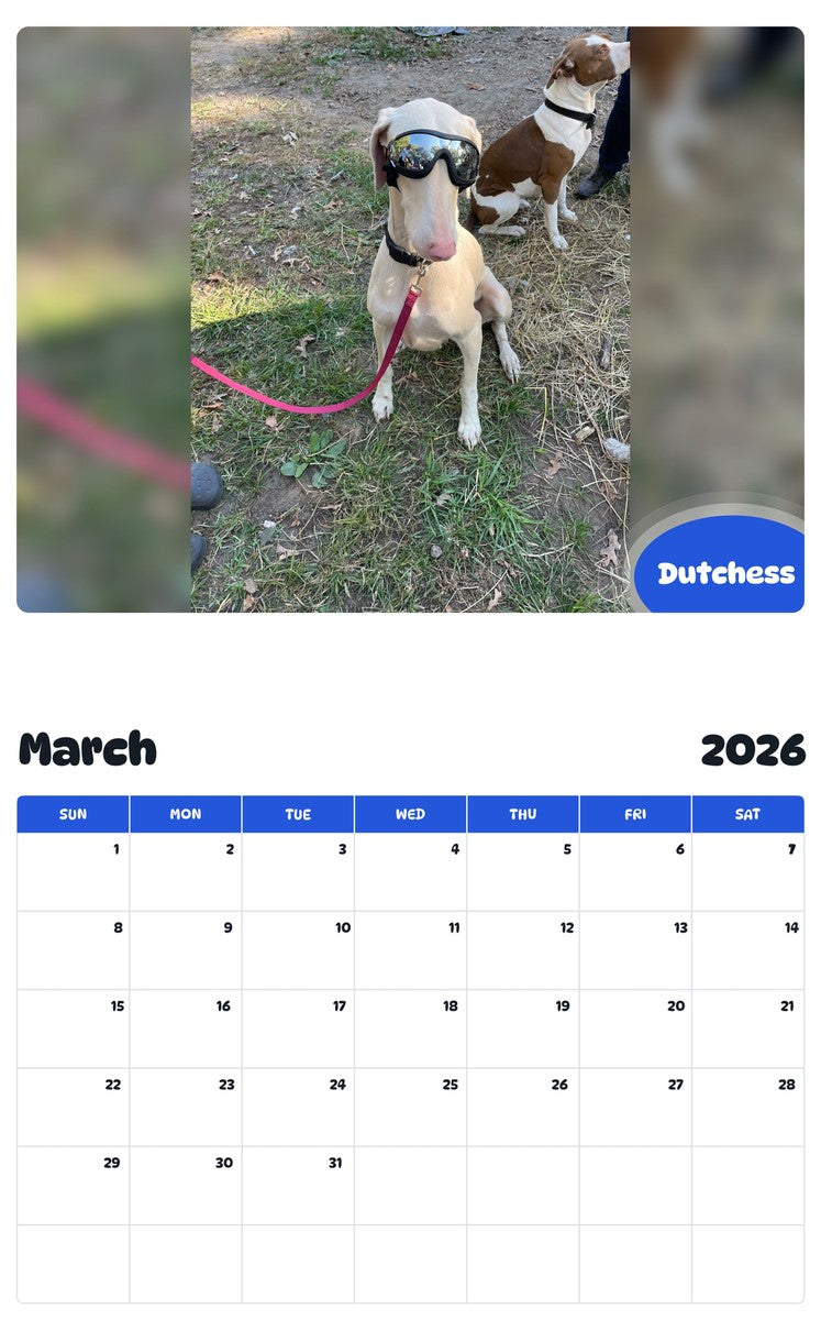 November 2025 - October 2026 Dutchess - Pawidols Pet Calendar