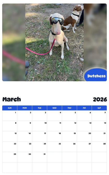 November 2025 - October 2026 Dutchess - Pawidols Pet Calendar