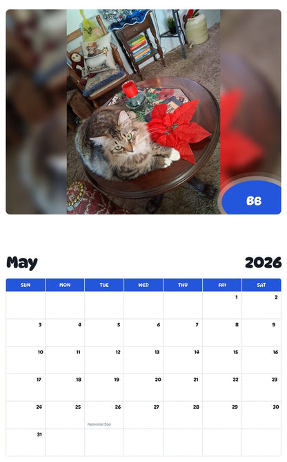 2026 - 2027 BB - Pawidols Pet Calendar