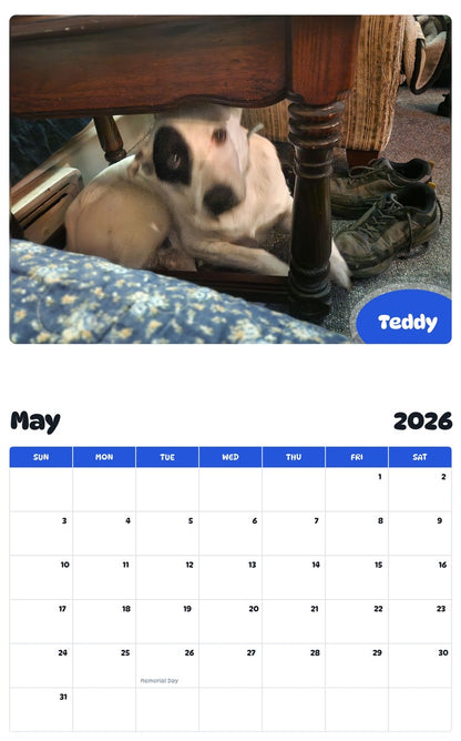 2026 - 2027 Teddy - Pawidols Pet Calendar