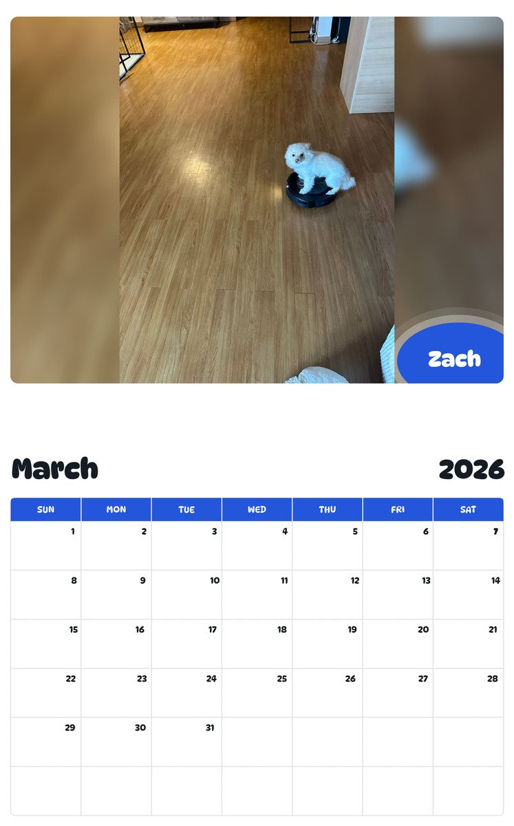 November 2025 - October 2026 Zach - Pawidols Pet Calendar