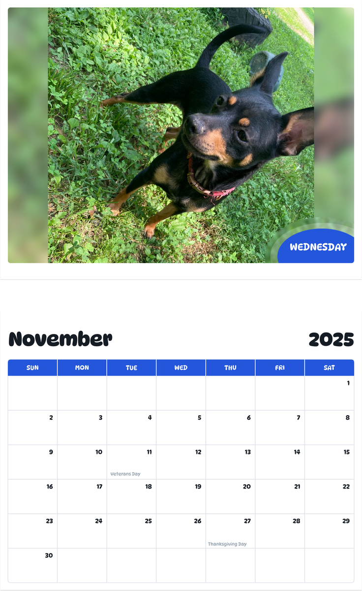 July 2025 - June 2026 Wednesday - Pawidols Pet Calendar