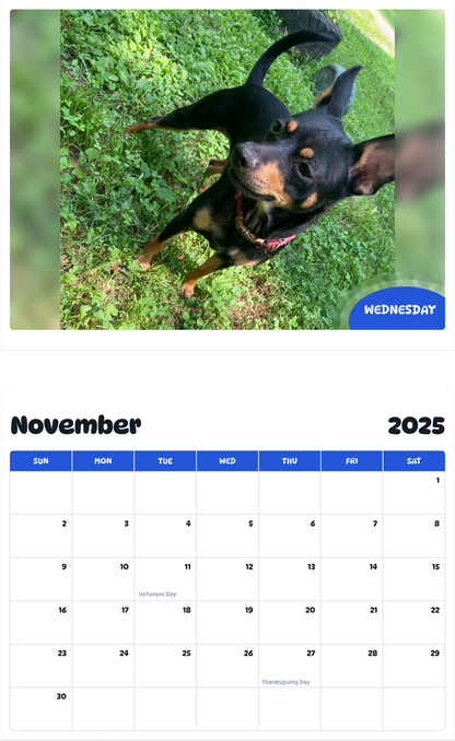 July 2025 - June 2026 Wednesday - Pawidols Pet Calendar