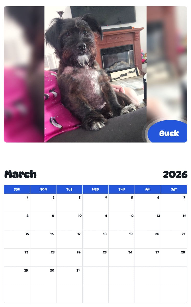 November 2025 - October 2026 Buck - Pawidols Pet Calendar