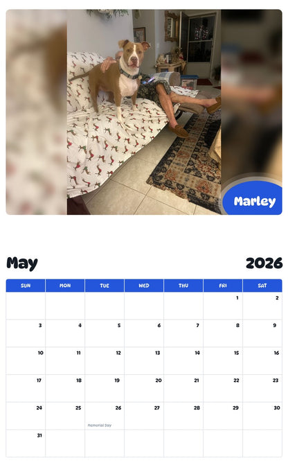 2026 - 2027 Marley - Pawidols Pet Calendar