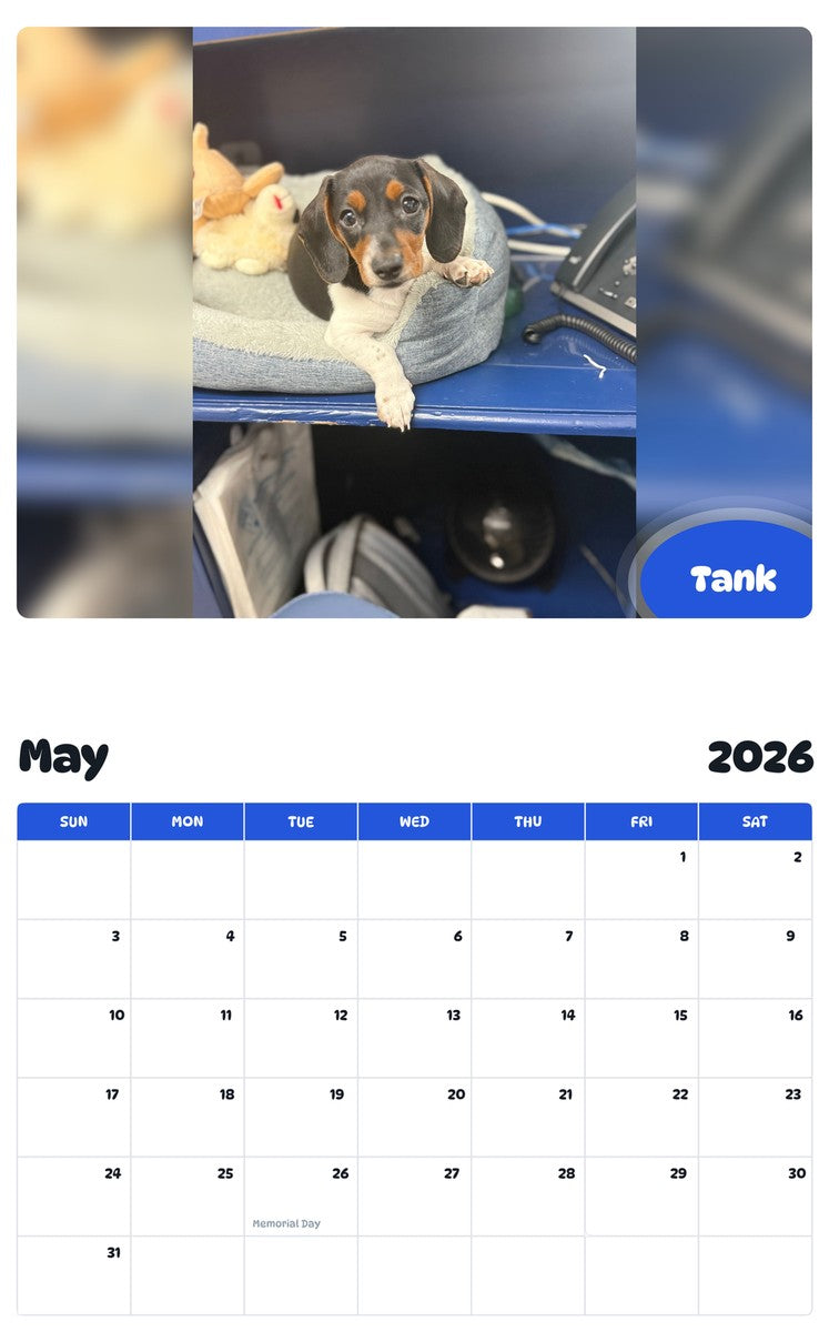 2026 - 2027 Tank - Pawidols Pet Calendar