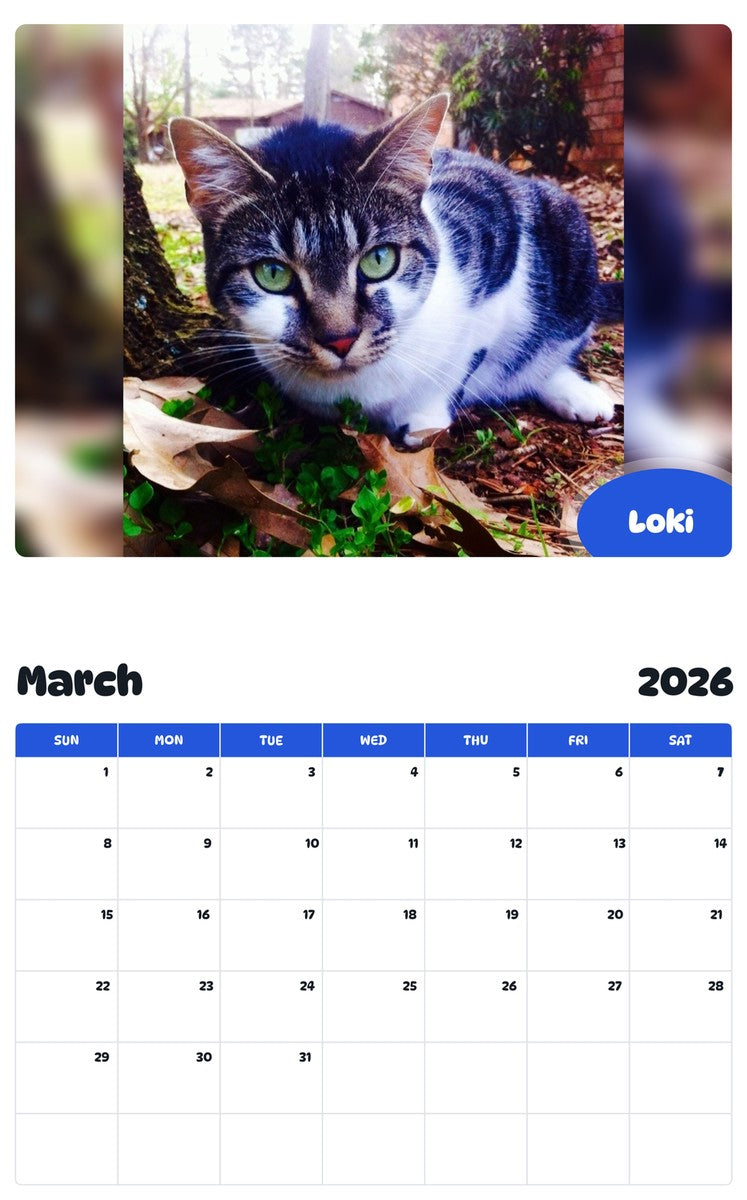 November 2025 - October 2026 Loki - Pawidols Pet Calendar