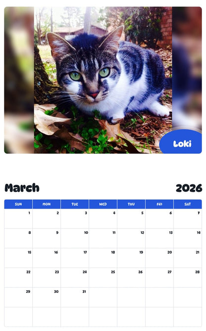November 2025 - October 2026 Loki - Pawidols Pet Calendar