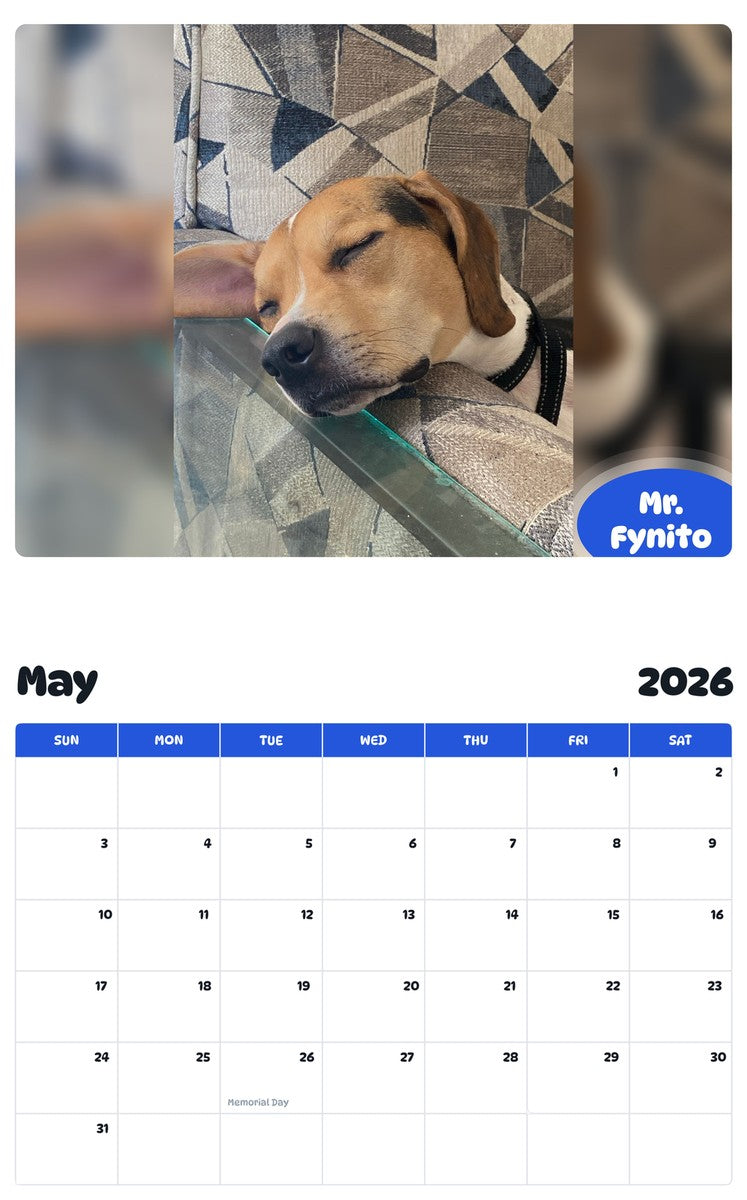 2026 - 2027 Mr. Fynito - Pawidols Pet Calendar