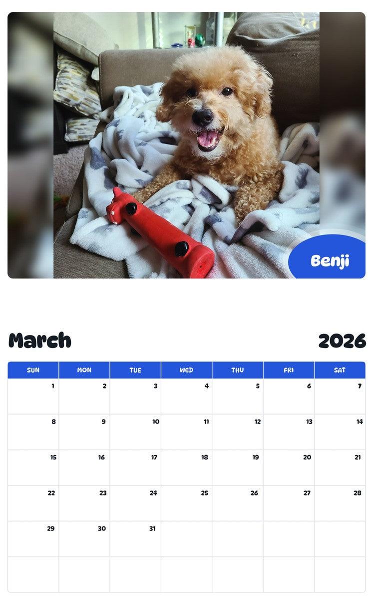 November 2025 - October 2026 Benji - Pawidols Pet Calendar