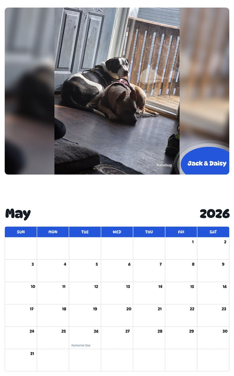 2026 - 2027 Jack & Daisy - Pawidols Pet Calendar