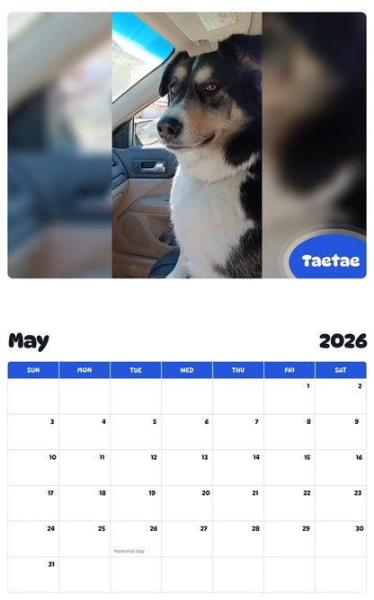 2026 - 2027 Taetae - Pawidols Pet Calendar