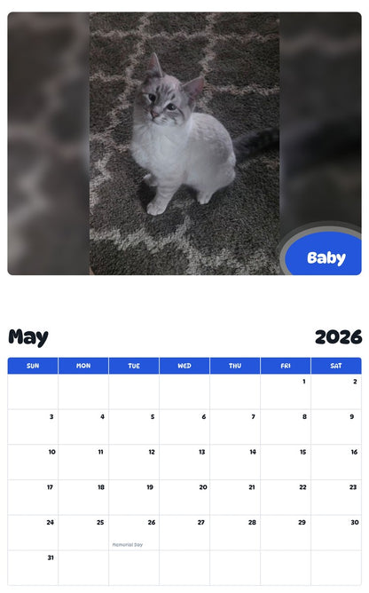 2026 - 2027 Baby - Pawidols Pet Calendar