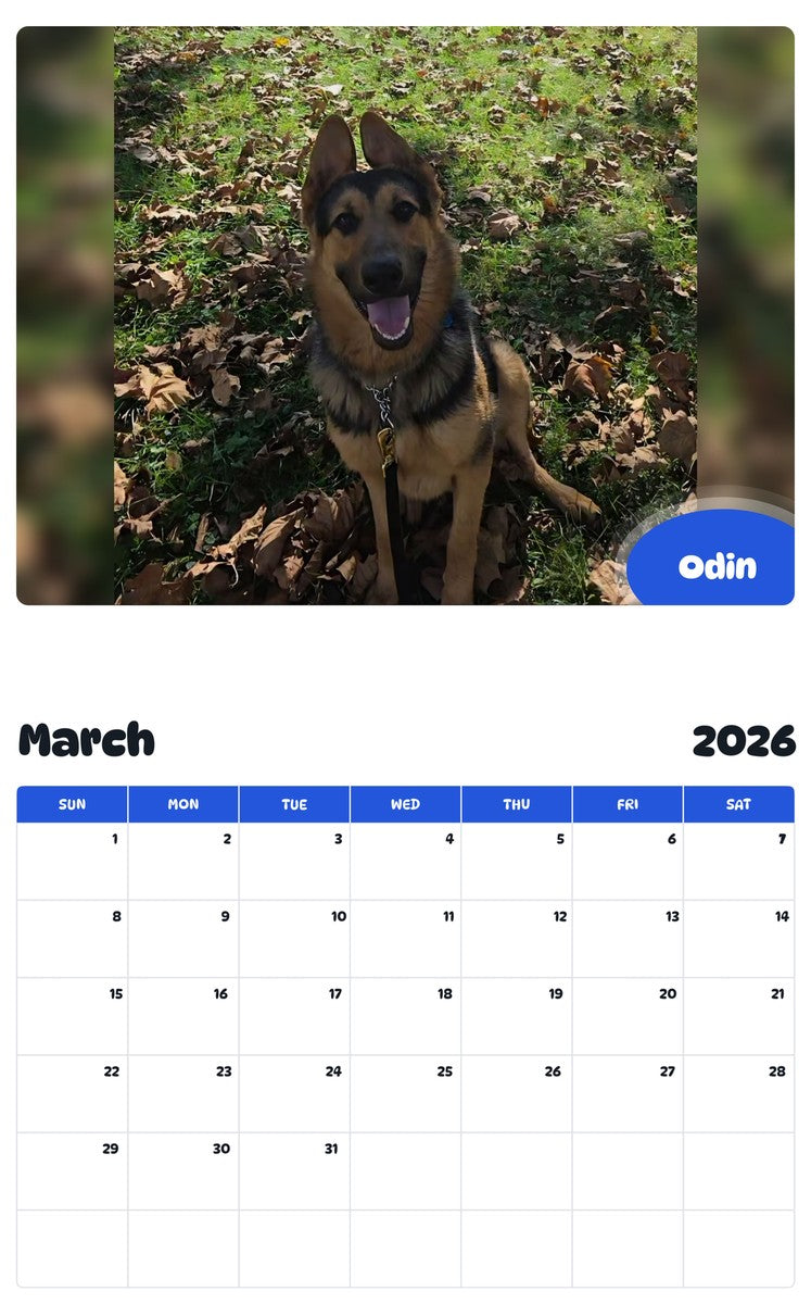 November 2025 - October 2026 Odin - Pawidols Pet Calendar