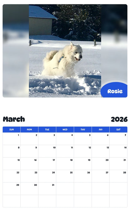 November 2025 - October 2026 Rosie - Pawidols Pet Calendar