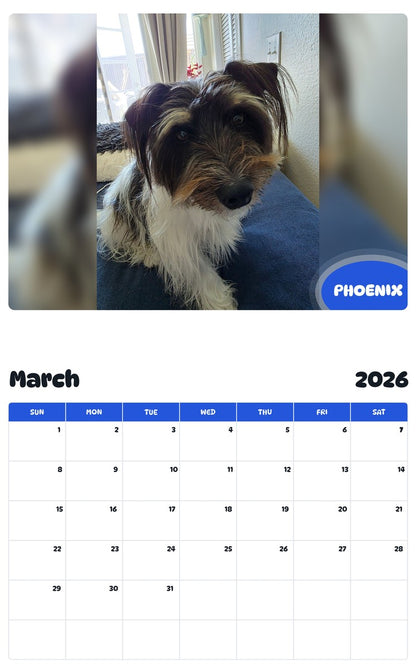 November 2025 - October 2026 PHOENIX - Pawidols Pet Calendar