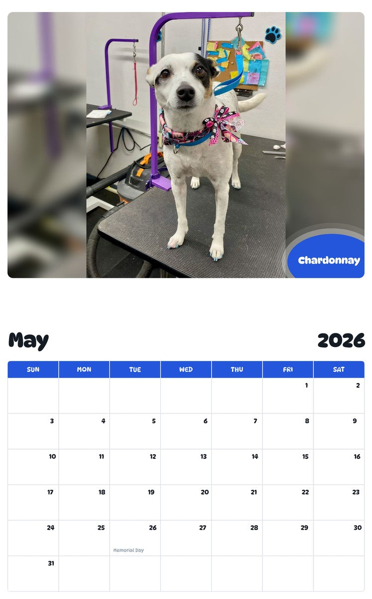 2026 - 2027 Chardonnay - Pawidols Pet Calendar