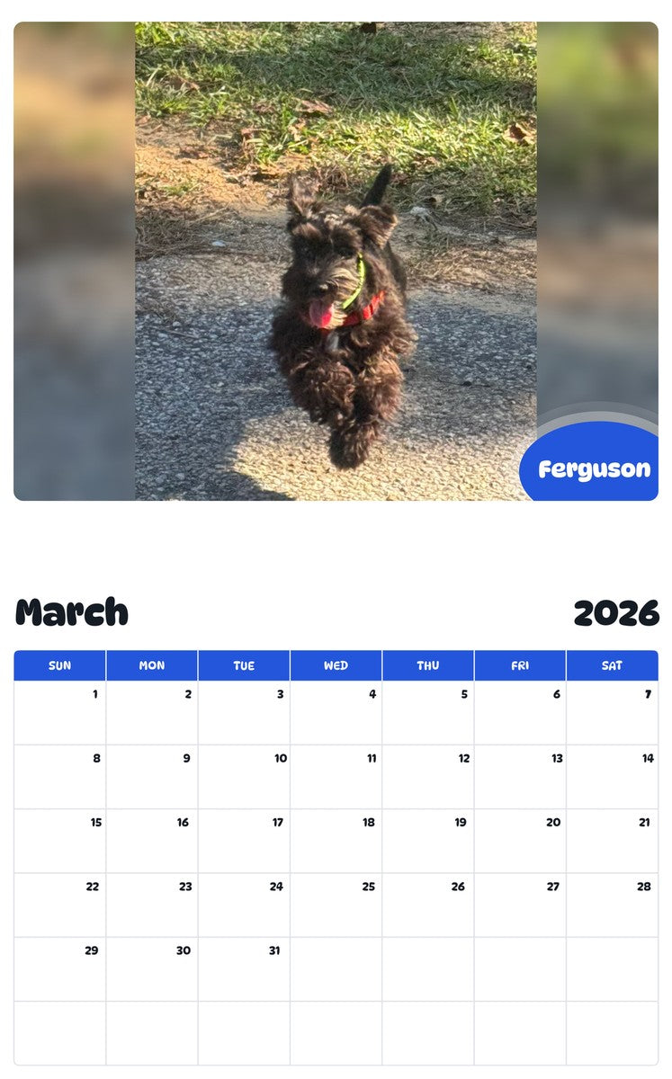 November 2025 - October 2026 Ferguson - Pawidols Pet Calendar