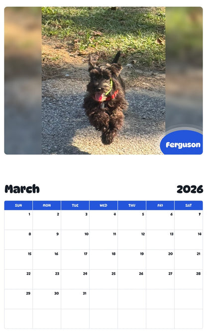 November 2025 - October 2026 Ferguson - Pawidols Pet Calendar
