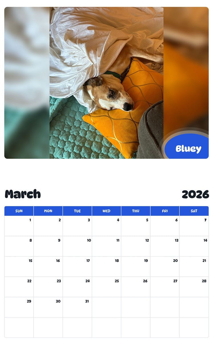 November 2025 - October 2026 Bluey - Pawidols Pet Calendar
