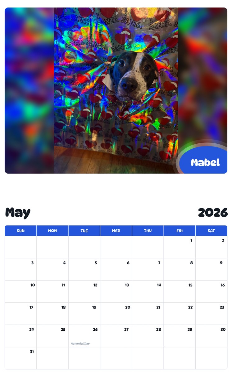 2026 - 2027 Mabel - Pawidols Pet Calendar