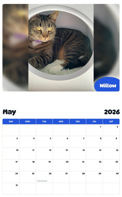 2026 - 2027 Willow - Pawidols Pet Calendar