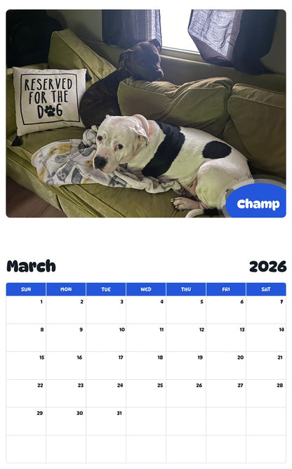 November 2025 - October 2026 Champ - Pawidols Pet Calendar