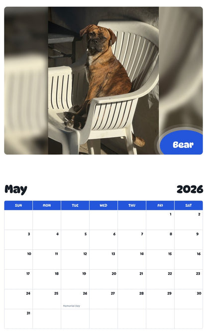 2026 - 2027 Bear - Pawidols Pet Calendar