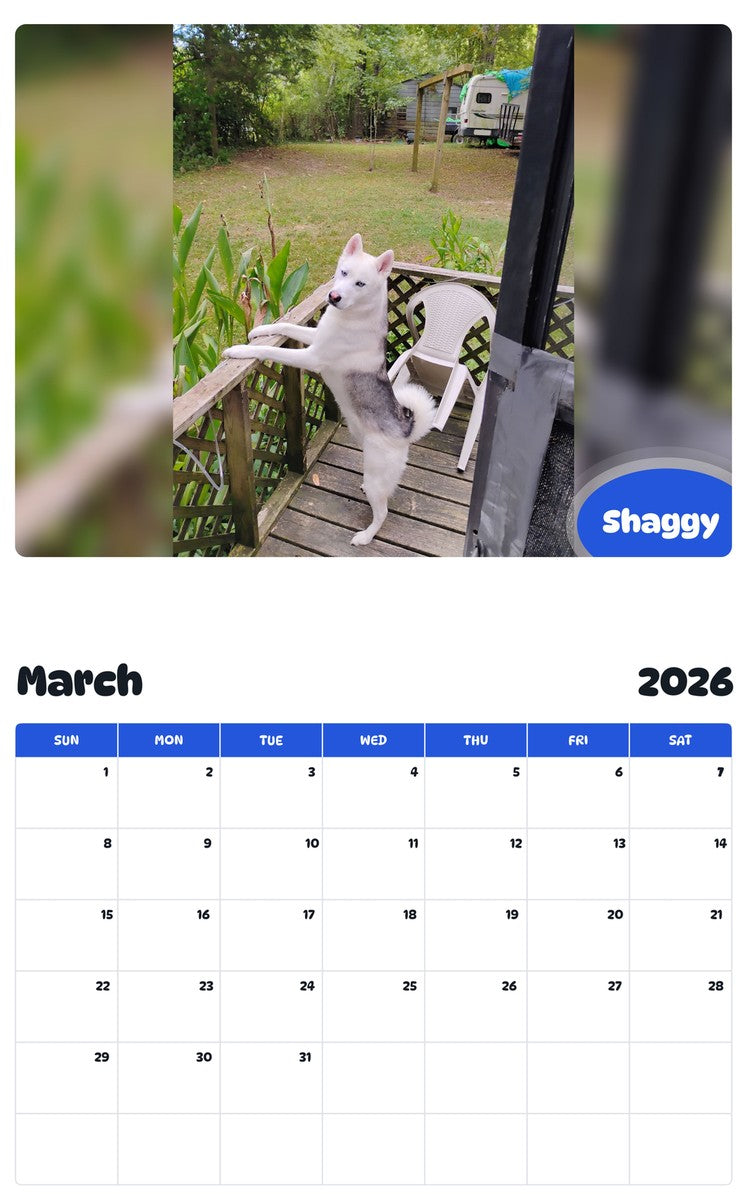 November 2025 - October 2026 Shaggy - Pawidols Pet Calendar