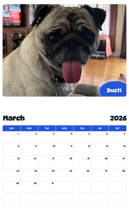 November 2025 - October 2026 Dusti - Pawidols Pet Calendar