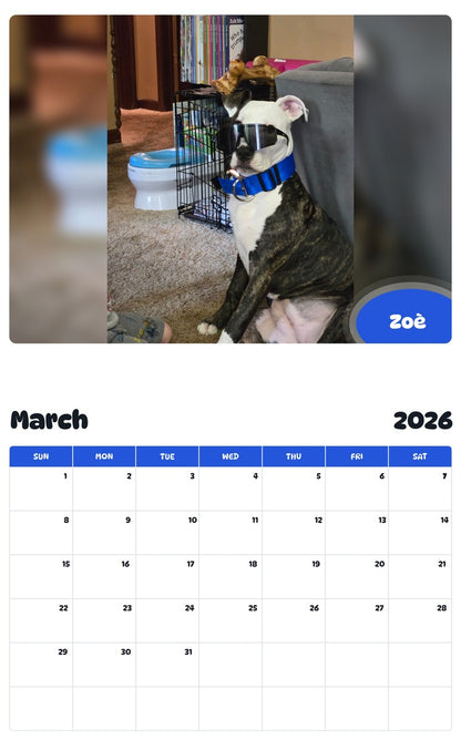 November 2025 - October 2026 Zoè - Pawidols Pet Calendar