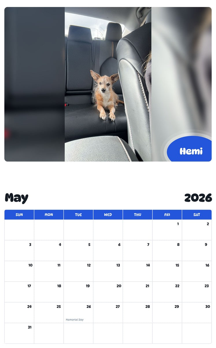 2026 - 2027 Hemi - Pawidols Pet Calendar