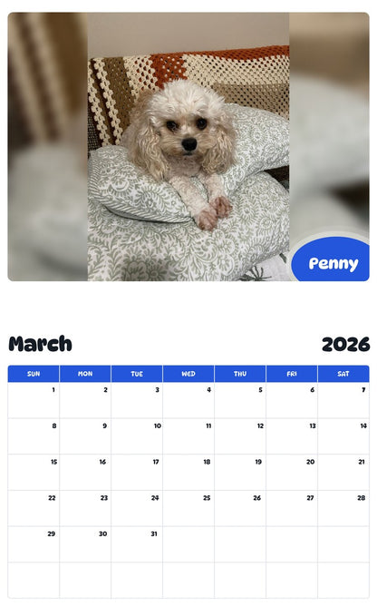 November 2025 - October 2026 Penny - Pawidols Pet Calendar