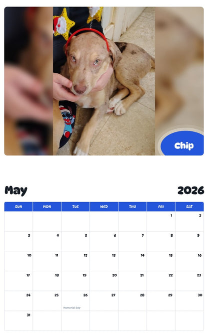 2026 - 2027 Chip - Pawidols Pet Calendar