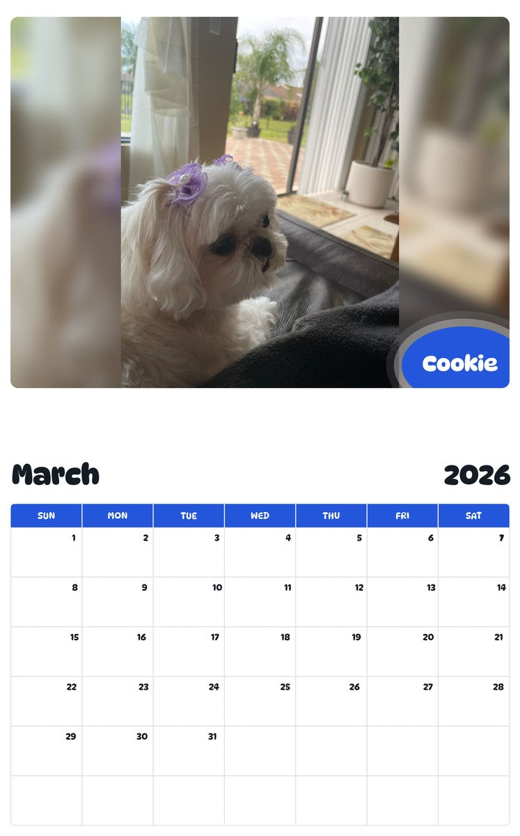 November 2025 - October 2026 Cookie - Pawidols Pet Calendar