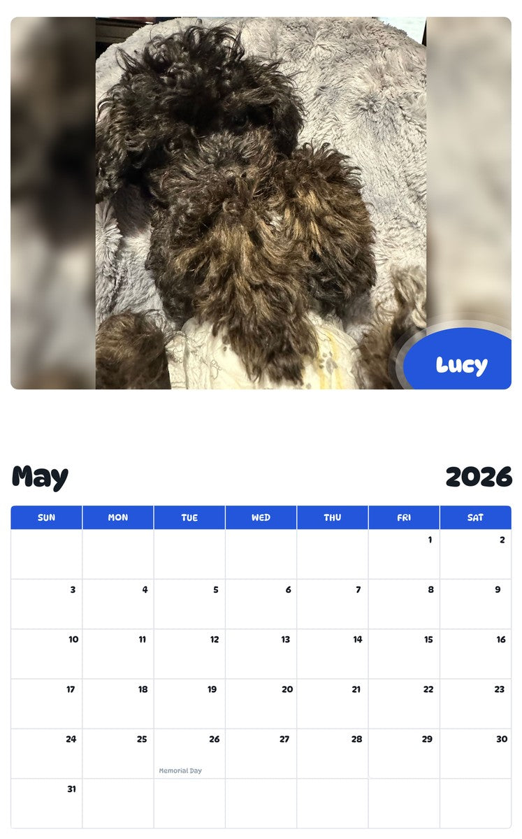 2026 - 2027 Lucy - Pawidols Pet Calendar