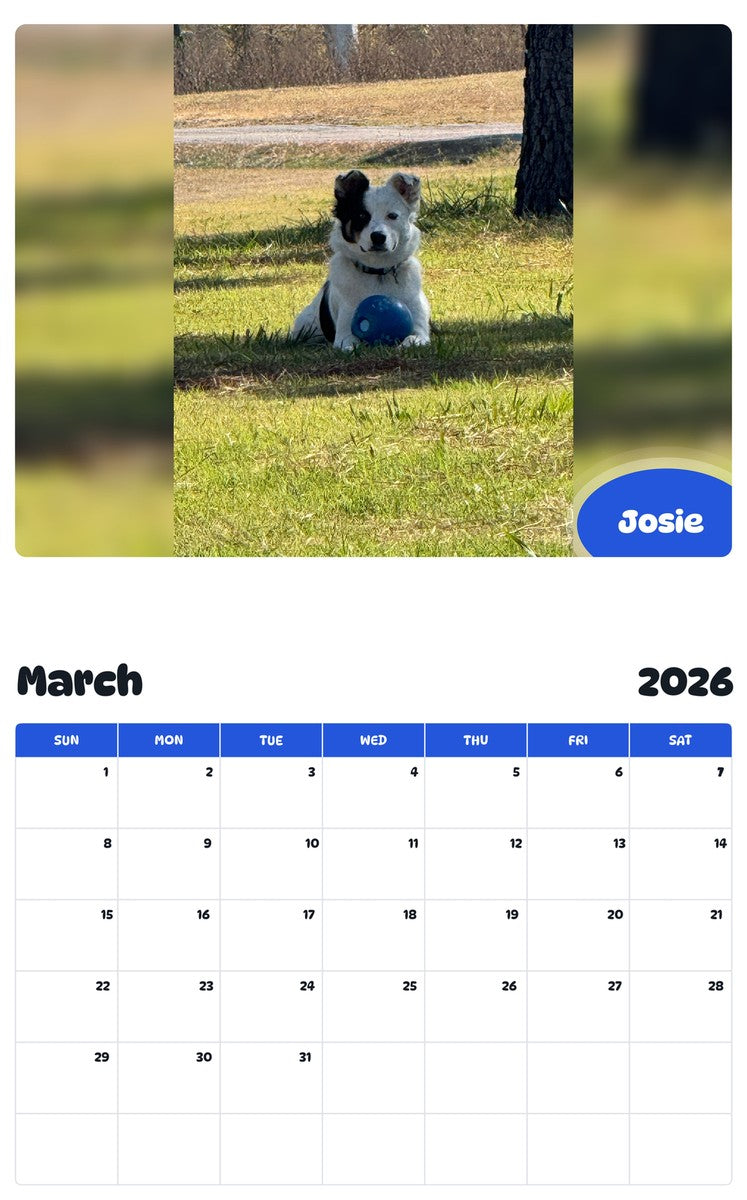 November 2025 - October 2026 Josie - Pawidols Pet Calendar