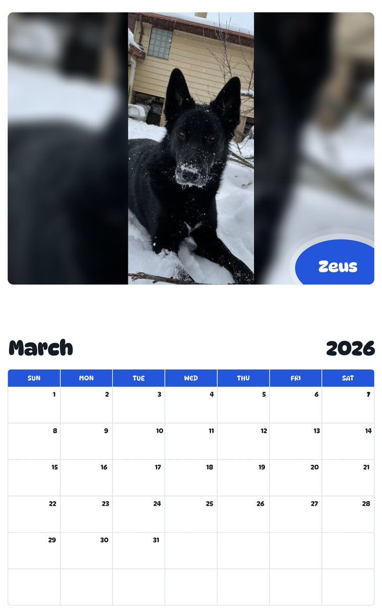 November 2025 - October 2026 Zeus - Pawidols Pet Calendar
