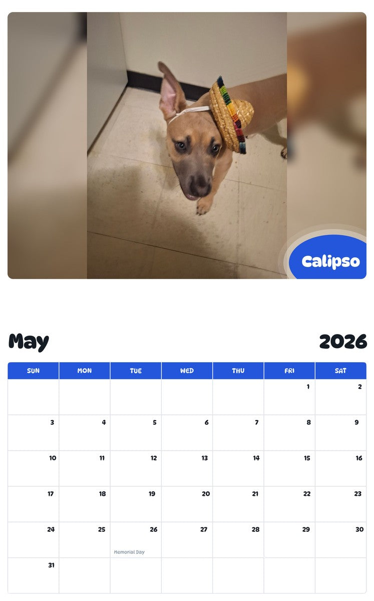 2026 - 2027 Calipso - Pawidols Pet Calendar