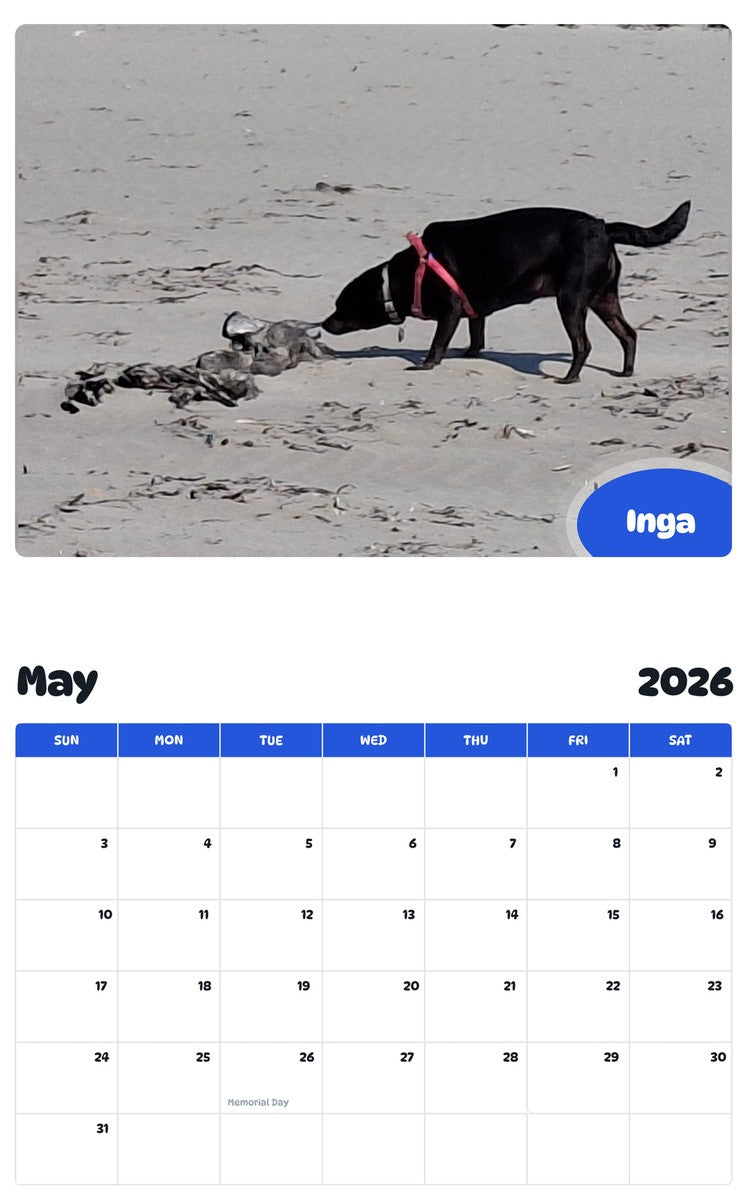 2026 - 2027 Inga - Pawidols Pet Calendar