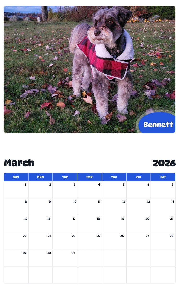 November 2025 - October 2026 Bennett - Pawidols Pet Calendar