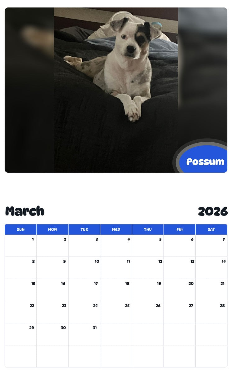 November 2025 - October 2026 Possum - Pawidols Pet Calendar